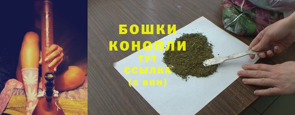 крисы Касимов