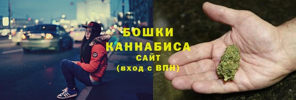 крисы Касимов