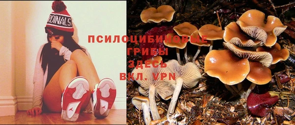 крисы Касимов